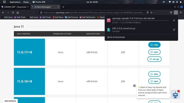 How to Download and Install ZAP in Kali Linux 2023? смотреть онлайн