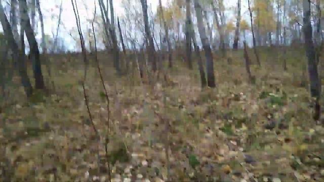 Путешествие на Белую гору к реке Яя. смотреть онлайн