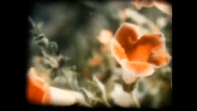 Серая Звездочка, детски руски филм. смотреть онлайн