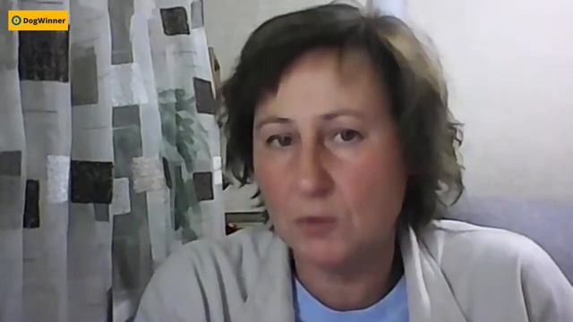 Как научить собаку спокойно проходить мимо собак? «Вопрос-ответ» с кинологом Татьяной Шамановой смотреть онлайн