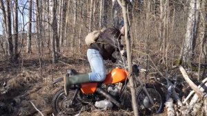 Иж Планета Спорт 350 | За березовым соком | Дядя Жорик