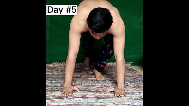 Push Up Challenge That Will Change Your Life (07 DAYS RESULTS) смотреть онлайн