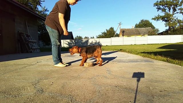 ФТ. Разминка (8-ка + тач п./тач з.) смотреть онлайн