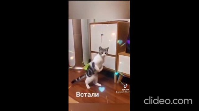 утро 11.06 смотреть онлайн