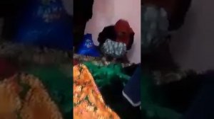 духтар набудай келини 17 сола