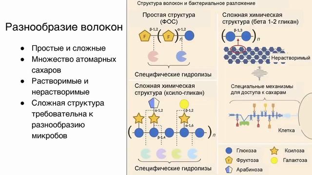Detox Часть 2 (Дм. Алексеев Токсины Лекция)