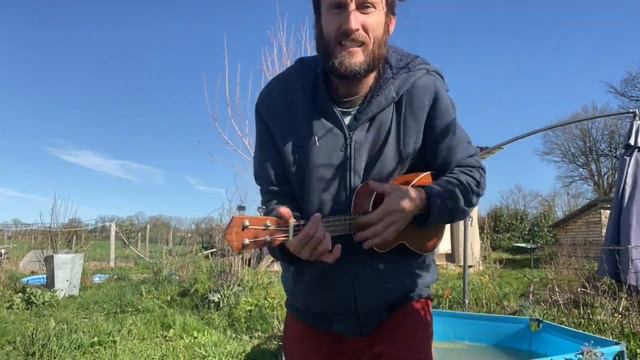Easy songs on the ukulele (2, 3 and 4 chords) смотреть онлайн