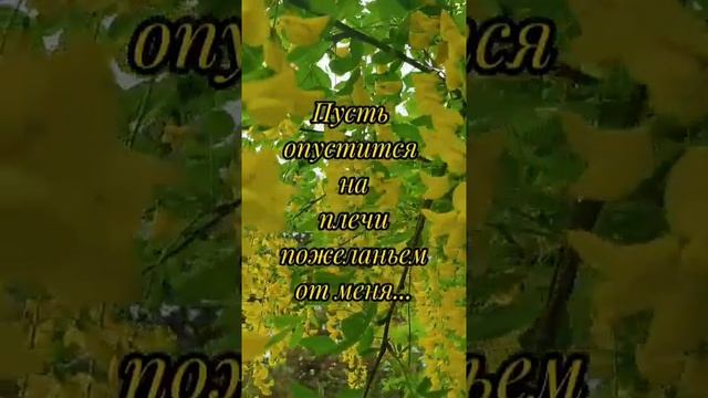 Добрый вечер ? смотреть онлайн