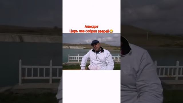 Анекдот Царь Лев Собрал зверей смотреть онлайн