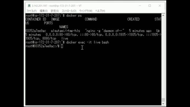 ライブ配信サーバーを構築します（Docker使用） смотреть онлайн