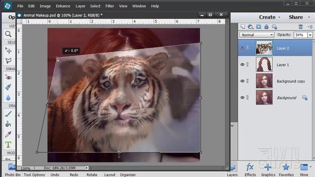 How You Can Blend Pictures to Create Animal Makeup in Photoshop Elements смотреть онлайн