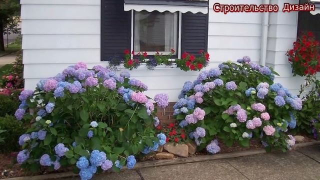 Идеи современных участков и садов смотреть онлайн