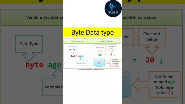 Byte data type l Primitive data types l java concepts l java basics l Life Goes On смотреть онлайн