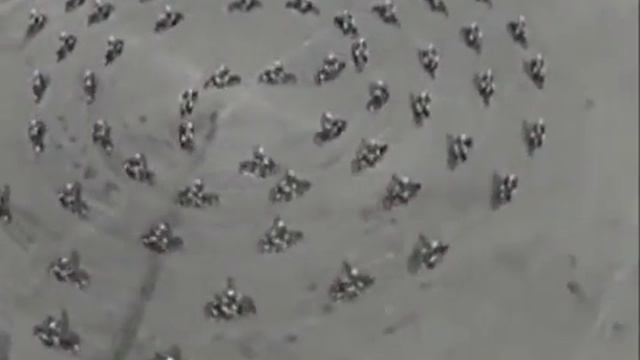 Флешмоб мотоциклистов смотреть онлайн