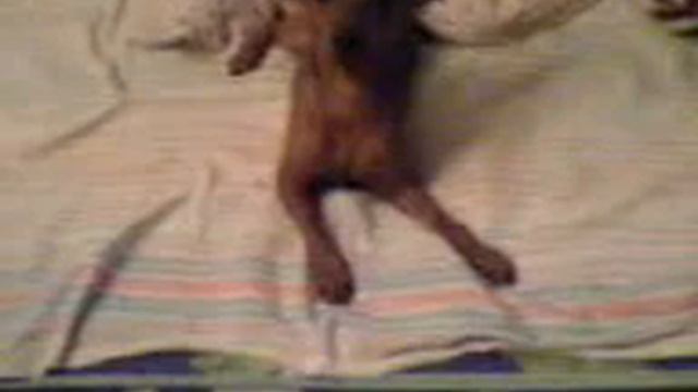 Лежачего не бьют! смотреть онлайн