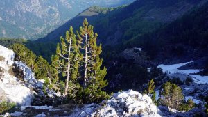 Фильм «АЛБАНИЯ: Тропа Виа Динарица»