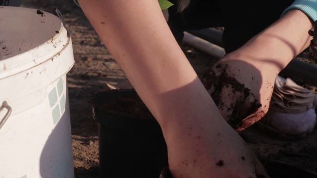 Сезон голубики. смотреть онлайн