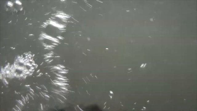 Sony HDR-SR10 Underwater смотреть онлайн