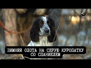 Зимняя охота на серую куропатку со спаниелем // Спутники охотника // Серия 3