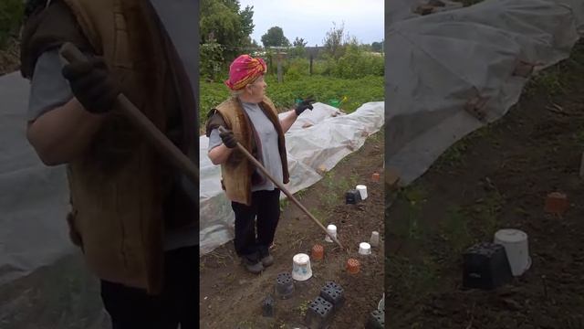 Совет № 2. Как быстрее удалять сорняки в огороде смотреть онлайн