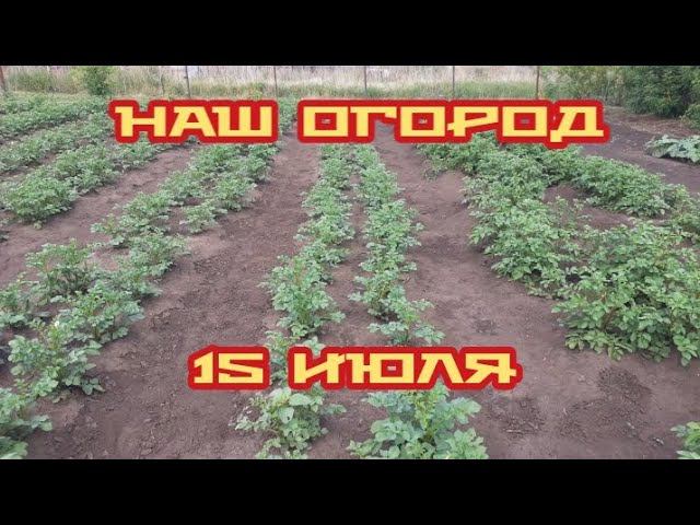 обзор нашего огорода.... смотреть онлайн