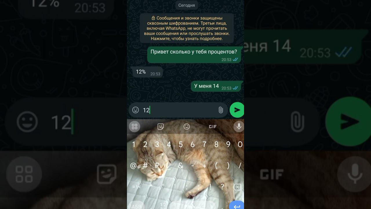 спалю!#вреки #врекзаюш #whatsapp #реки #врекзай #рекомендации #реки2024 #рекомендации #рофл смотреть онлайн