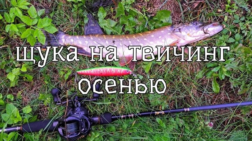 #Ловля щуки на воблер смотреть онлайн