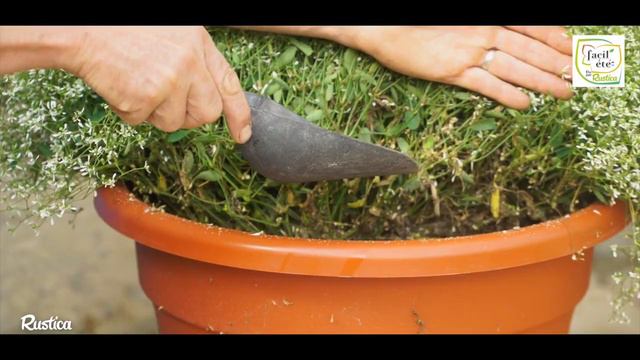 Créer Une Terrasse Fleurie Pour L'été