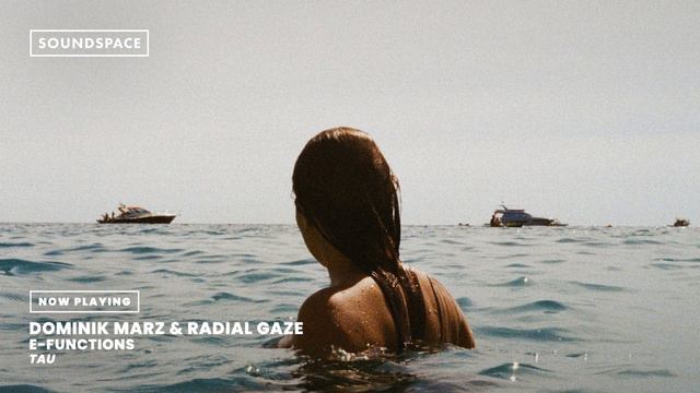 Dominik Marz & Radial Gaze - E-Functions [TAU] смотреть онлайн