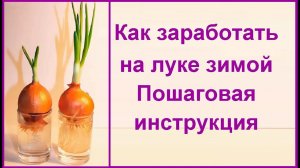 Лук на перо зимой - бизнес ИДЕЯ// Выгонка лука на зелень в помещении//Прибыльный бизнес