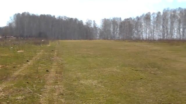 Kamenka, flying RC helicopters T Rex500 T Rex550 p8 смотреть онлайн