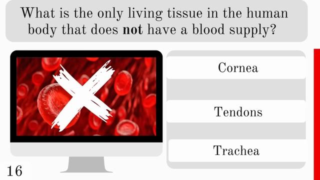 Hard Ultimate General Knowledge Trivia Quiz Game смотреть онлайн