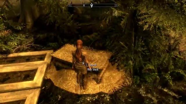 Skyrim SE Immersive Roleplaying - Project AHO - Episode 3 смотреть онлайн