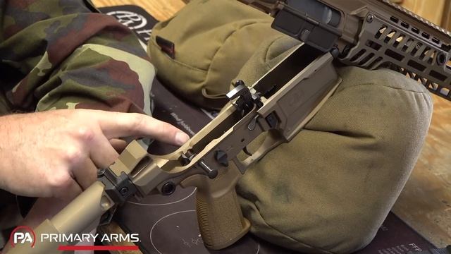 The Controversial New Civilian Legal Sig M5 - M7 Infantry Rifle.