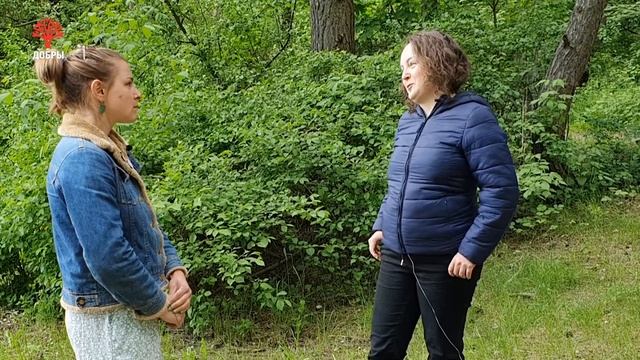 Птенцы слётки. Не спасать? ? Как спасти птенца выпавшего из гнезда? | Остров Ду – Добры канал