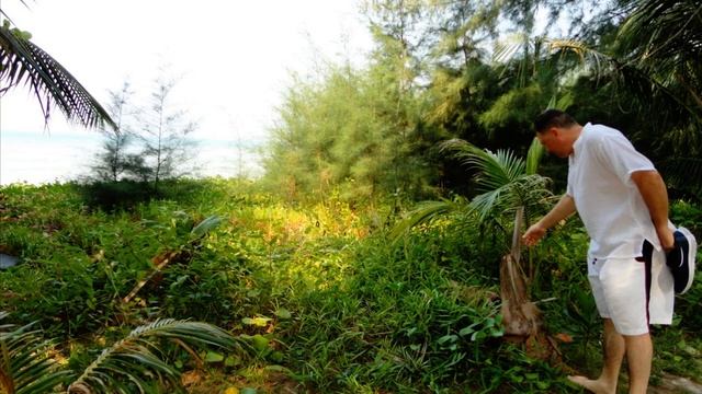 Ко Чанг. Улица. Пляж Клонг Прао. Обед в пляжном кафе смотреть онлайн