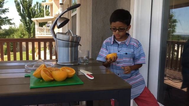 Breville Citrus Juicer смотреть онлайн