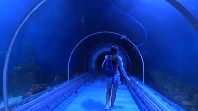 Гранд аквариум |Hurghada Grand Aquarium| Египет, Хургада. Лучшая экскурсия для детей и не только... смотреть онлайн
