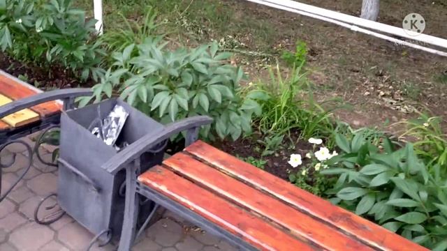 19 влог, Вера Надежда Любовь.Храм смотреть онлайн