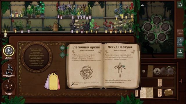 Strange Horticulture/Странное садоводство - # 7 ФИНАЛ/FINALE