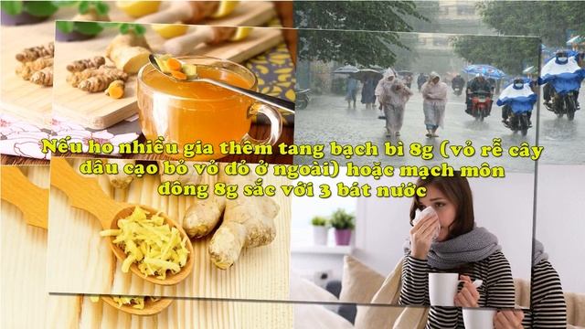 Gừng - Vị thuốc đa dụng trong mùa mưa lũ với những tác dụng không ngờ смотреть онлайн