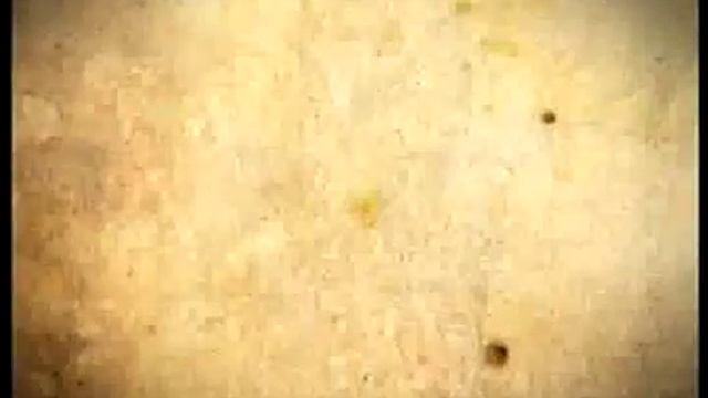 Madhya pradesh tourism. смотреть онлайн