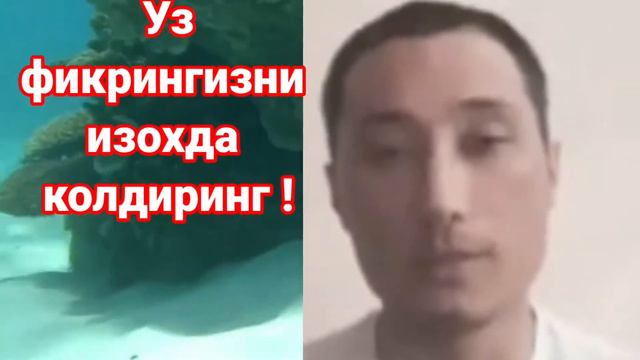 ПРЕЗИДЕНТГА МУРОЖАТ БИЛАН ЧИКДИ БУ ЙИГИТ смотреть онлайн