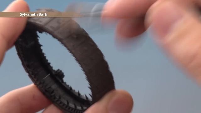 WHTV Tip Of The Day - Wooden Planks.