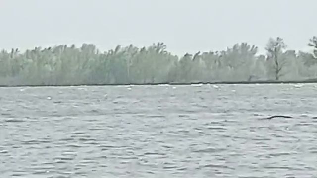 Волга.Никольский Яр.12.04.2023. бушует непогода смотреть онлайн