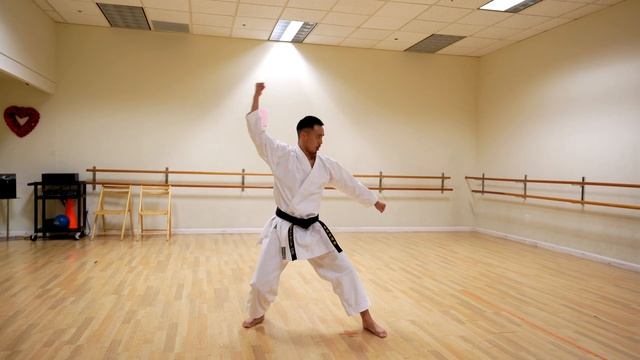Kata Heian Godan Full Tutorial смотреть онлайн