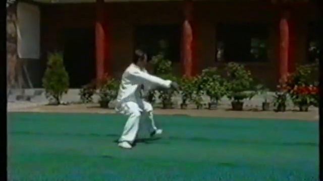 Baguazhang смотреть онлайн