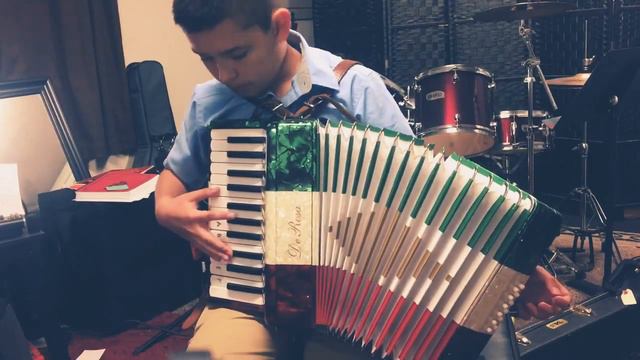 Playing Despacito on accordion!! смотреть онлайн