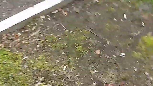 Московская область.Демьяново.Ничего особенного но все же.Историческое место.