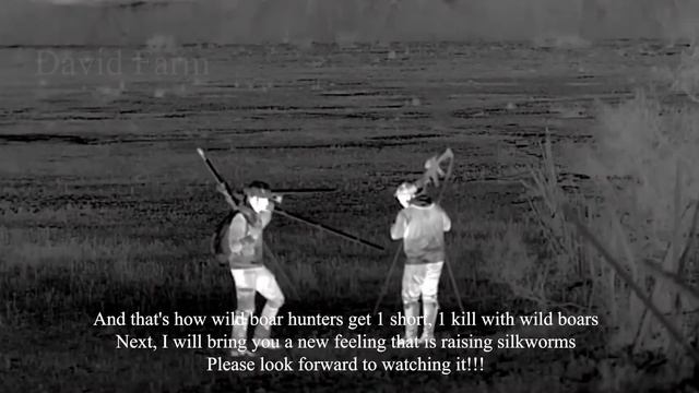 Farmers & Hunters Respond to Invasive Wild Boar in This Way смотреть онлайн